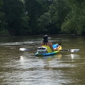 Meet your Posher, Bree